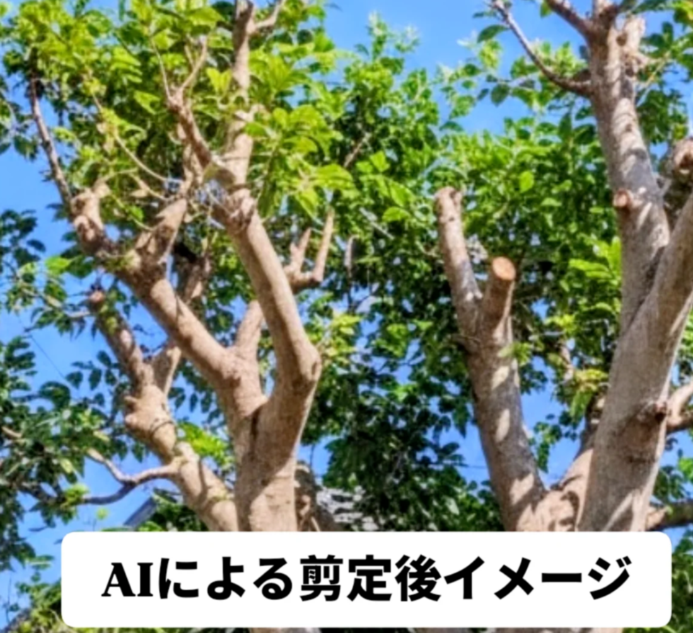 藤沢市本町の剪定後イメージ画